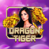 Dragon Tiger jilicrown apk live casino